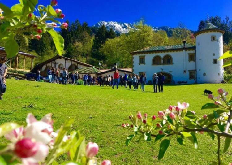 Agriturismo Randis Piano d'Arta Ngoại thất bức ảnh