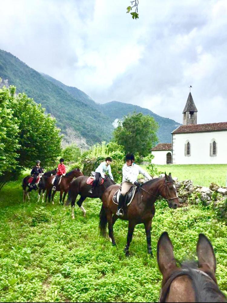Agriturismo Randis Piano d'Arta Ngoại thất bức ảnh